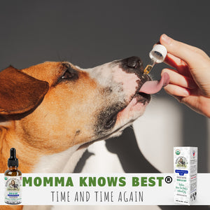 CBD extract for dogs and cats by Momma Knows Best® Organics
